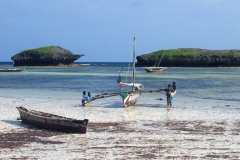 Kenya-20154606-008