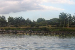 Mau01